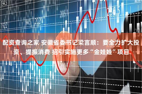 配资查询之家 安徽省委书记梁言顺：要全力扩大投资、提振消费 招引实施更多“金娃娃”项目