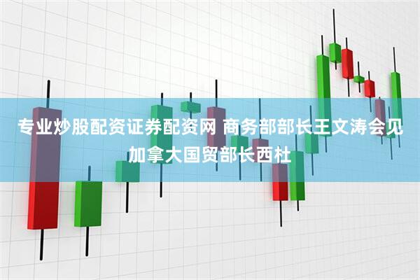专业炒股配资证券配资网 商务部部长王文涛会见加拿大国贸部长西杜